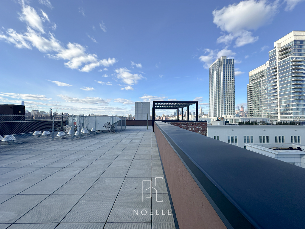 apartment for rent in williamsburg, brooklyn - roof deck - east river views